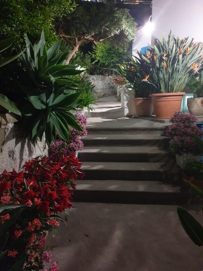 Villa Loreta Forio di Ischia Exterior foto